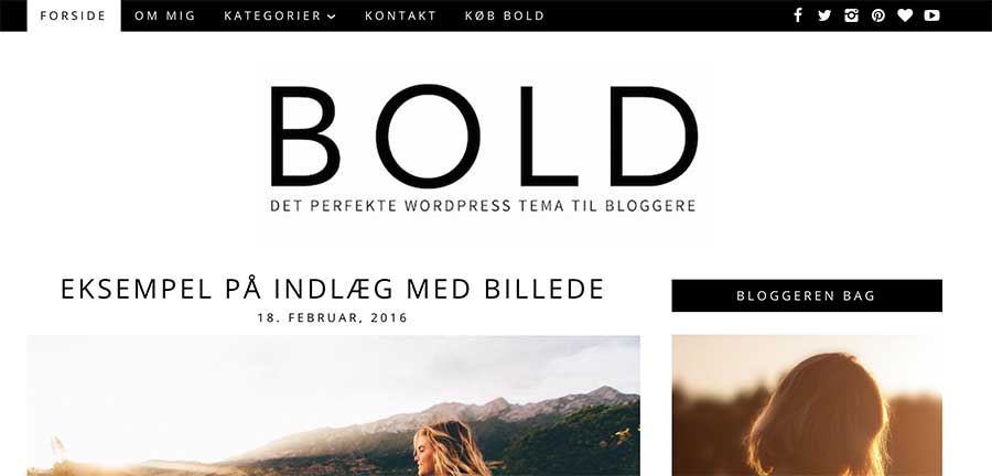 BOLD-demo